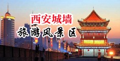 逼毛少,馒头形中国陕西-西安城墙旅游风景区