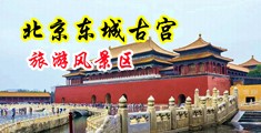 男生桶女生洞视频中国北京-东城古宫旅游风景区